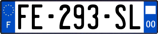 FE-293-SL