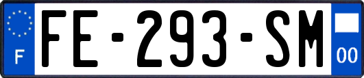 FE-293-SM