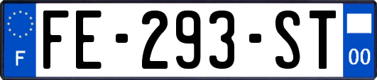 FE-293-ST