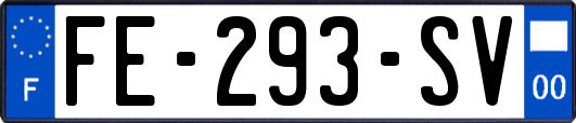 FE-293-SV