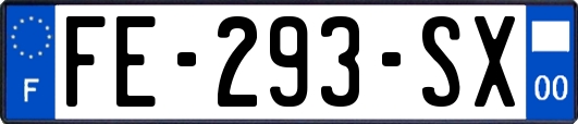 FE-293-SX