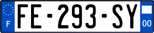 FE-293-SY