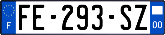 FE-293-SZ