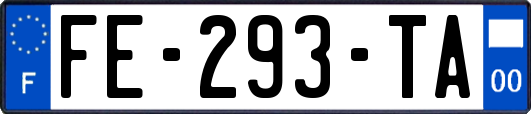 FE-293-TA