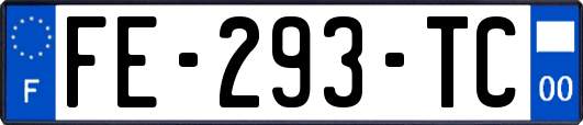 FE-293-TC