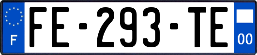 FE-293-TE