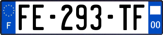FE-293-TF