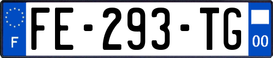 FE-293-TG