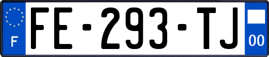 FE-293-TJ