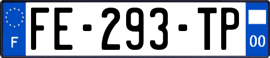FE-293-TP