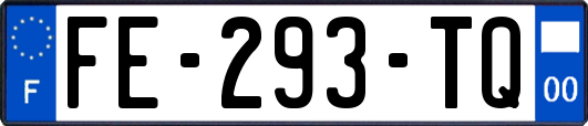 FE-293-TQ