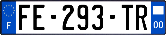 FE-293-TR