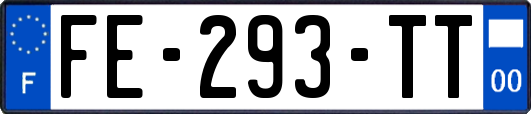 FE-293-TT