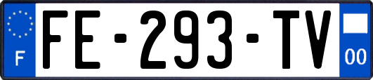 FE-293-TV