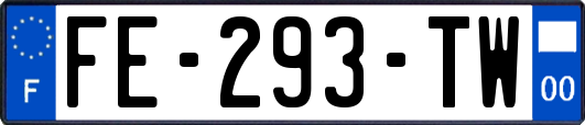 FE-293-TW