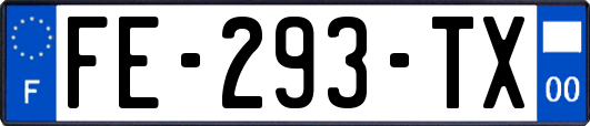 FE-293-TX