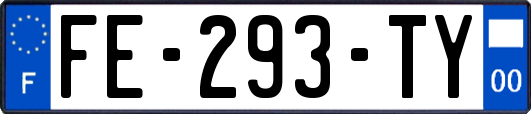 FE-293-TY
