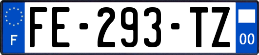FE-293-TZ