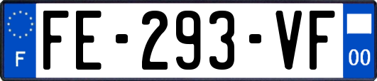 FE-293-VF