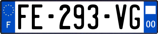 FE-293-VG