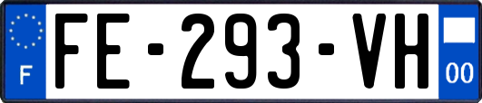 FE-293-VH