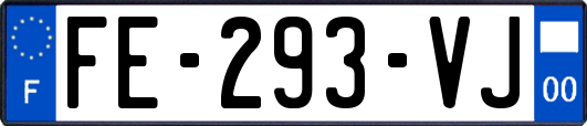 FE-293-VJ