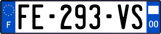 FE-293-VS