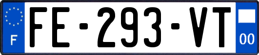 FE-293-VT