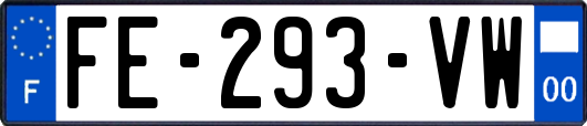FE-293-VW