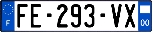 FE-293-VX