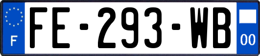 FE-293-WB