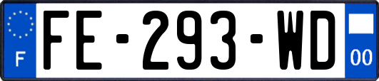 FE-293-WD