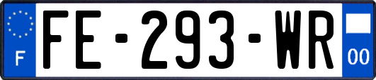 FE-293-WR