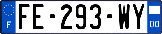 FE-293-WY