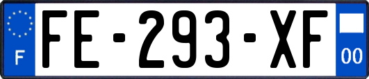 FE-293-XF