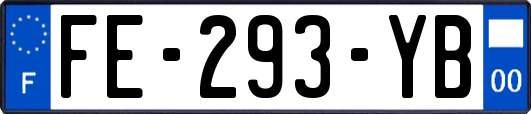 FE-293-YB