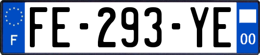 FE-293-YE