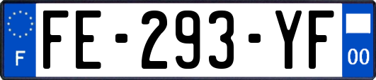 FE-293-YF