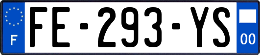 FE-293-YS