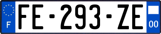 FE-293-ZE