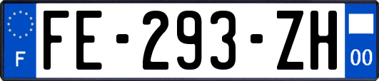 FE-293-ZH