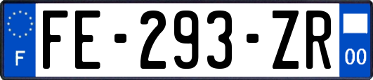 FE-293-ZR