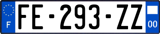 FE-293-ZZ