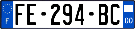 FE-294-BC