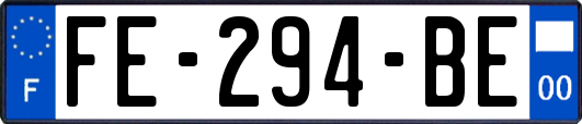 FE-294-BE