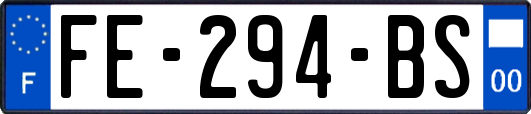 FE-294-BS