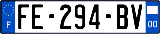 FE-294-BV