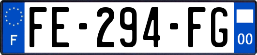 FE-294-FG