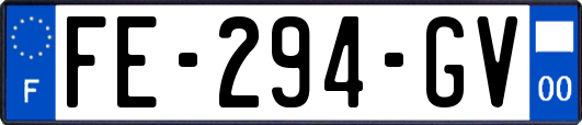 FE-294-GV