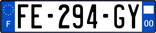 FE-294-GY
